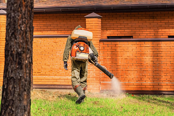 Trusted Bed Bug Control service in Farmville, VA - Nex Pest Control
